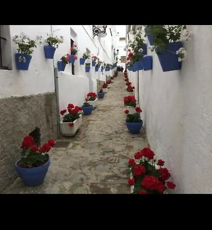 بيت للعطل La Vivienda Turistica Rural ألغار